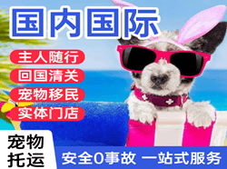 桂林空运地址国际宠物托运 【国